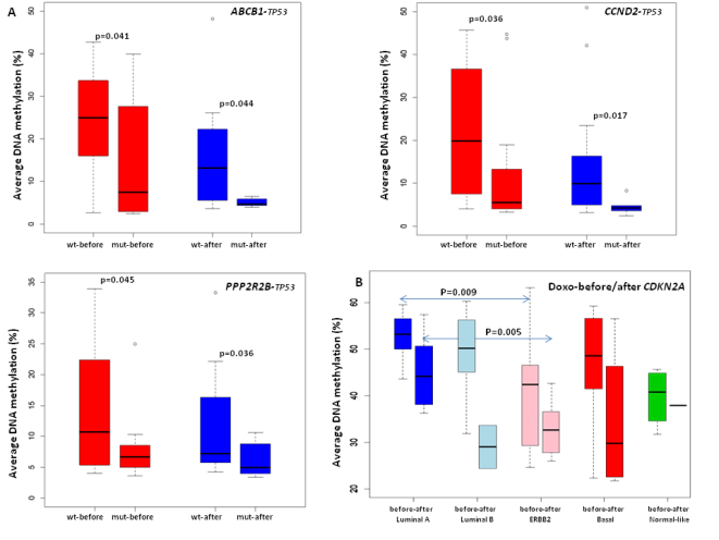 Figure 3. A) Boxplots illustrating significant association between methylation status and TP53 mutation status. For each gene difference in methylation between wild type and TP53 mutated tumors before and after treatment is given. B) Boxplots illustrating the differential methylation of CDKN2A between different molecular subtypes before and after treatment with doxorubicin.